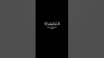 تلاوة الشيخ ماهر المعيقلي | سورة المؤمنون آيات 99-100 #الله #القرآن #تلاوة #لا_اله_الا_الله