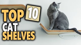 Best Cat Shelves 2024 | Top 10 Modern Cat Shelves That Actually Look Good