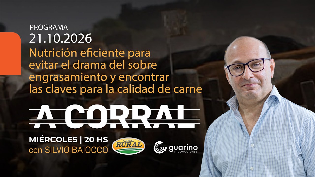 Nutrición eficiente para el drama sobre engrasamiento y encontrar claves para calidad de carne