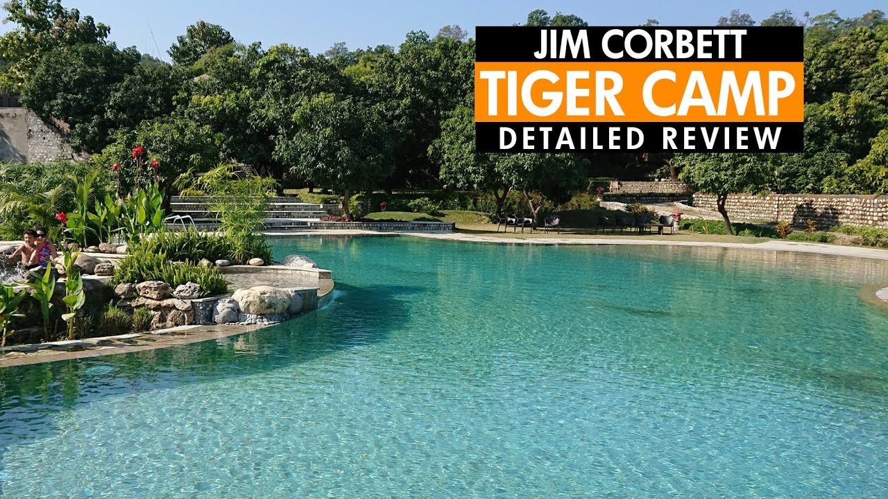 Tiger Camp Jim Corbett Detailed Review YouTube