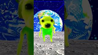 This Is A Lezginka, I Wonder What Happened To Them?