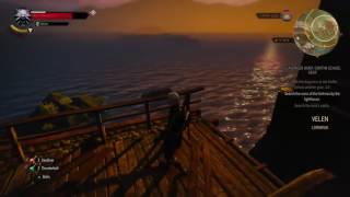 Avid Collector - The Witcher HD