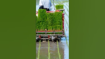 Revolutionize Your Harvest: Discover the Ultimate Rice Transplanter & Farming Machinery!