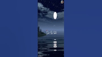 قُلۡ مَن رَّبُّ ٱلسَّمَٰوَٰتِ وَٱلۡأَرۡضِ قُلِ ٱللَّهُۚ - القارئ شريف مصطفى