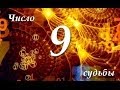 Число Судьбы - 9