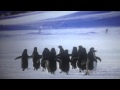 Download Avicii Id - Always On The Run Avicii Id - Always On The Run