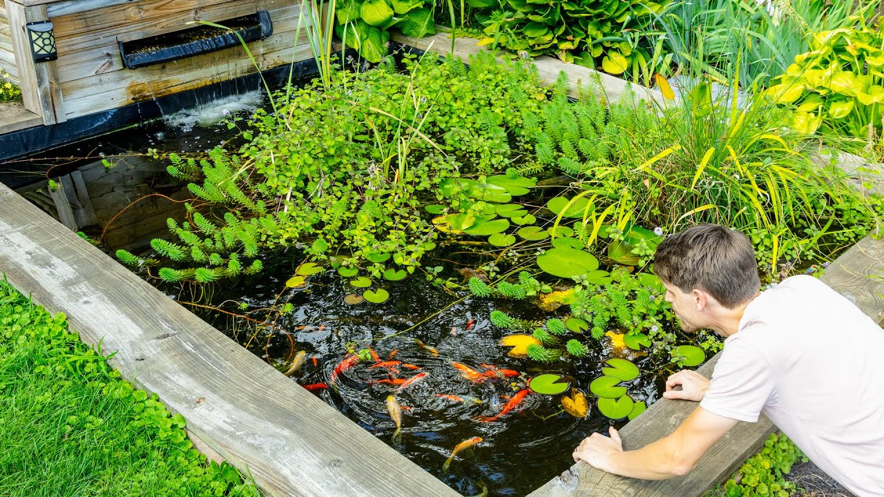 The Sad Truth Of My DIY Garden Pond YouTube The Sad Truth Of My DIY Garden Pond YouTube