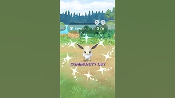 Eevee Community Day Was Conveniently Timed #shorts #pokemongo #communityday #pokemon #eevee #shiny