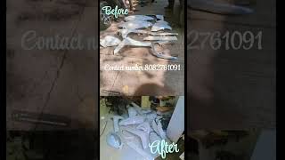 The king garage work after and before thane west