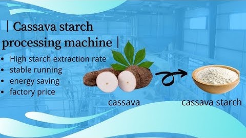 Cassava starch processing machine for cassava starch processing plant video
