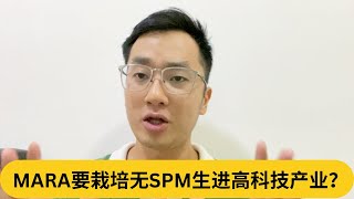 MARA要栽培无SPM生进高科技产业？｜阿耀闲聊政治