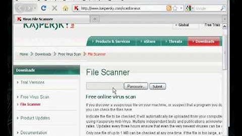 Crypter Undetectable   99/100 [bifrost + poison ivy Spy-net   Keylogger]