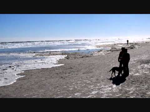 Hampton Beach High Surf Jan 24 2016 You Hampton Beach High Surf Jan 24 2016