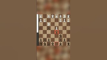 Strategic Utilization of Bishop Pair Key Tactics, Strategies for Superior Positional Play, Tactical