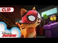 Spidey Super Cat 🐱| Marvel