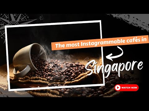 The most Instagrammable cafés in Singapore  | Explore Everywhere