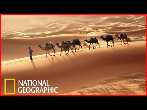 Тайны Пустынь National Geographic Документальный фильм 2021