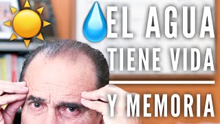 Episodio #1063 El agua tiene vida y memoria Episodio 1383 Agua Viva O Agua Muerta
