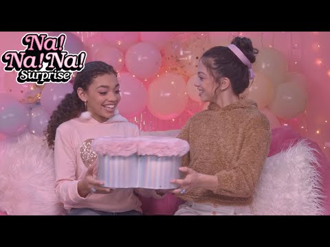 The Best Birthday Present EVER! 💕🎂 | Na! Na! Na! Surprise Vlog Episode 3