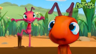 Stuck In The Mud! | Antiks | Moonbug No Dialogue Comedy Cartoons for Kids