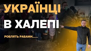 Українці В Норвегії Перетворюються В Рабів..... Польща. Новини