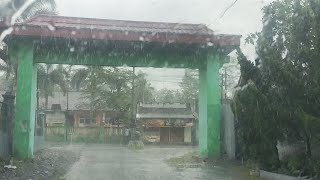 Heavy rain in beautiful countryside || Taking a walk in the rain.