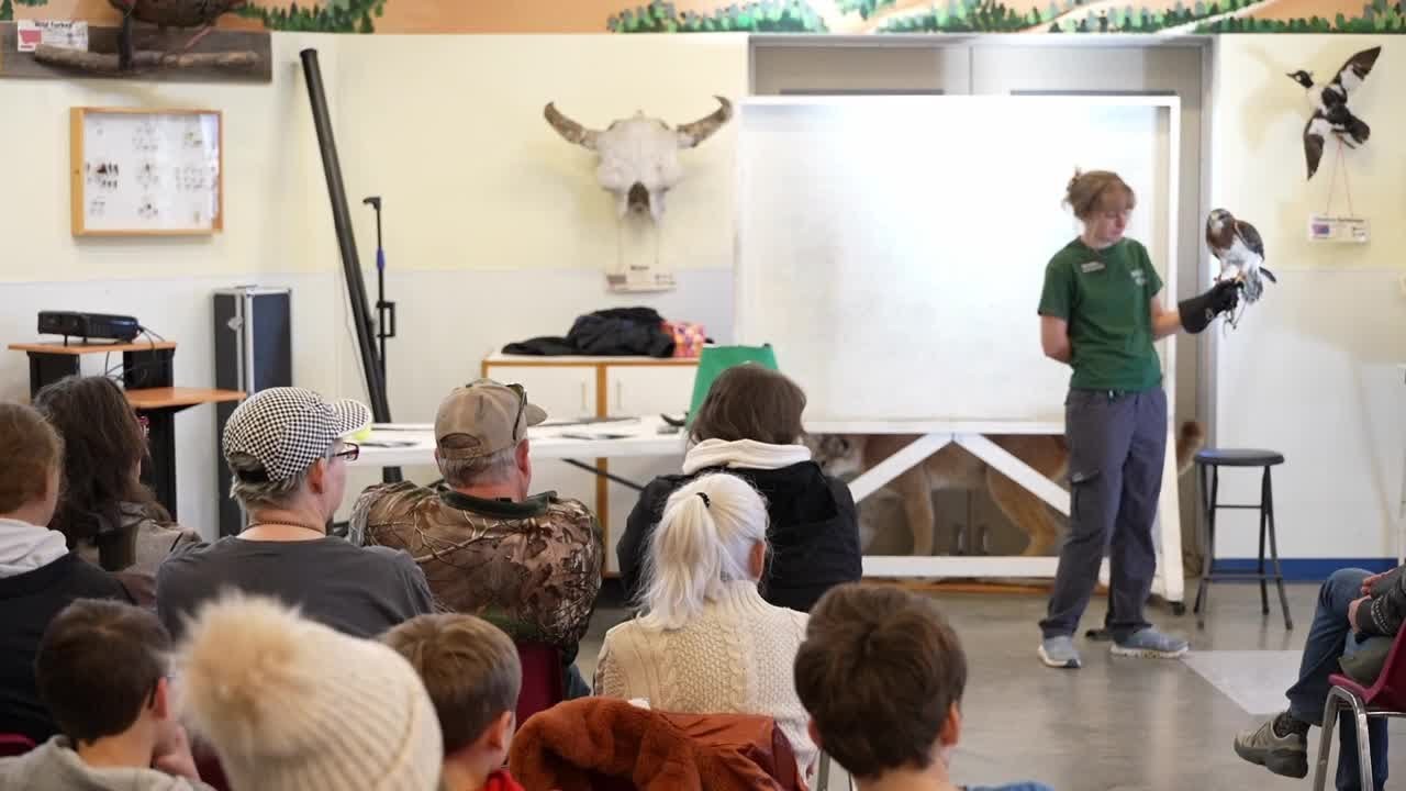 Montana Audubon Center brings in program to teach about raptor conservation