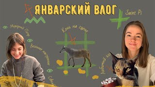 видео: Морозная зима в Питере | Новая Голландия, Севкабель и БДТ | Продолжаем ремонт | Много кота VLOG картинка: Морозная зима в Питере | Новая Голландия, Севкабель и БДТ | Продолжаем ремонт | Много кота VLOG