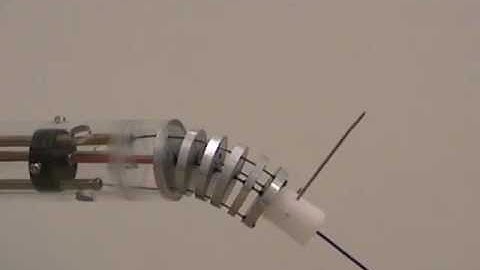 Rotation about backbone