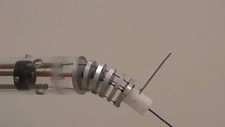 Rotation about backbone