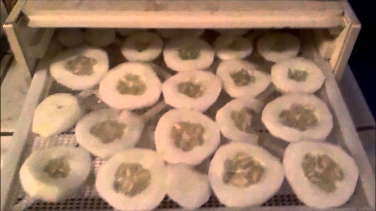 Dehydrating Cucumber Chips