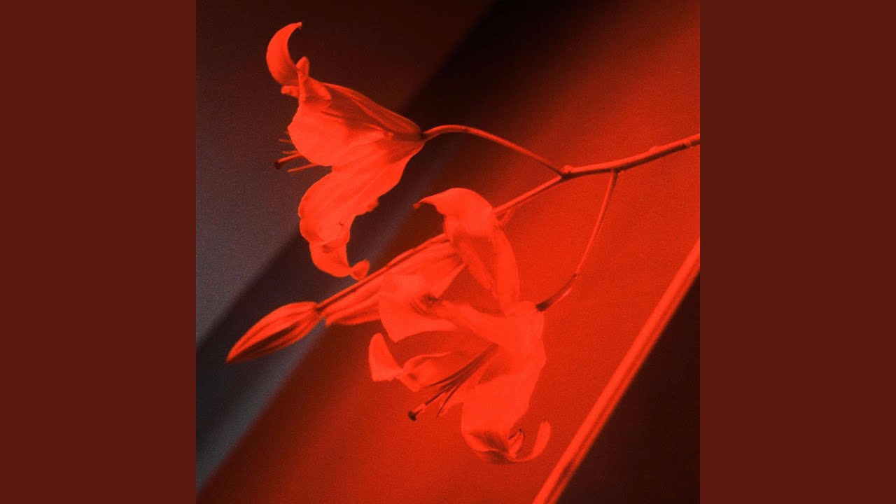 YouTube에서 Glimpse 보기 YouTube에서 Glimpse 보기