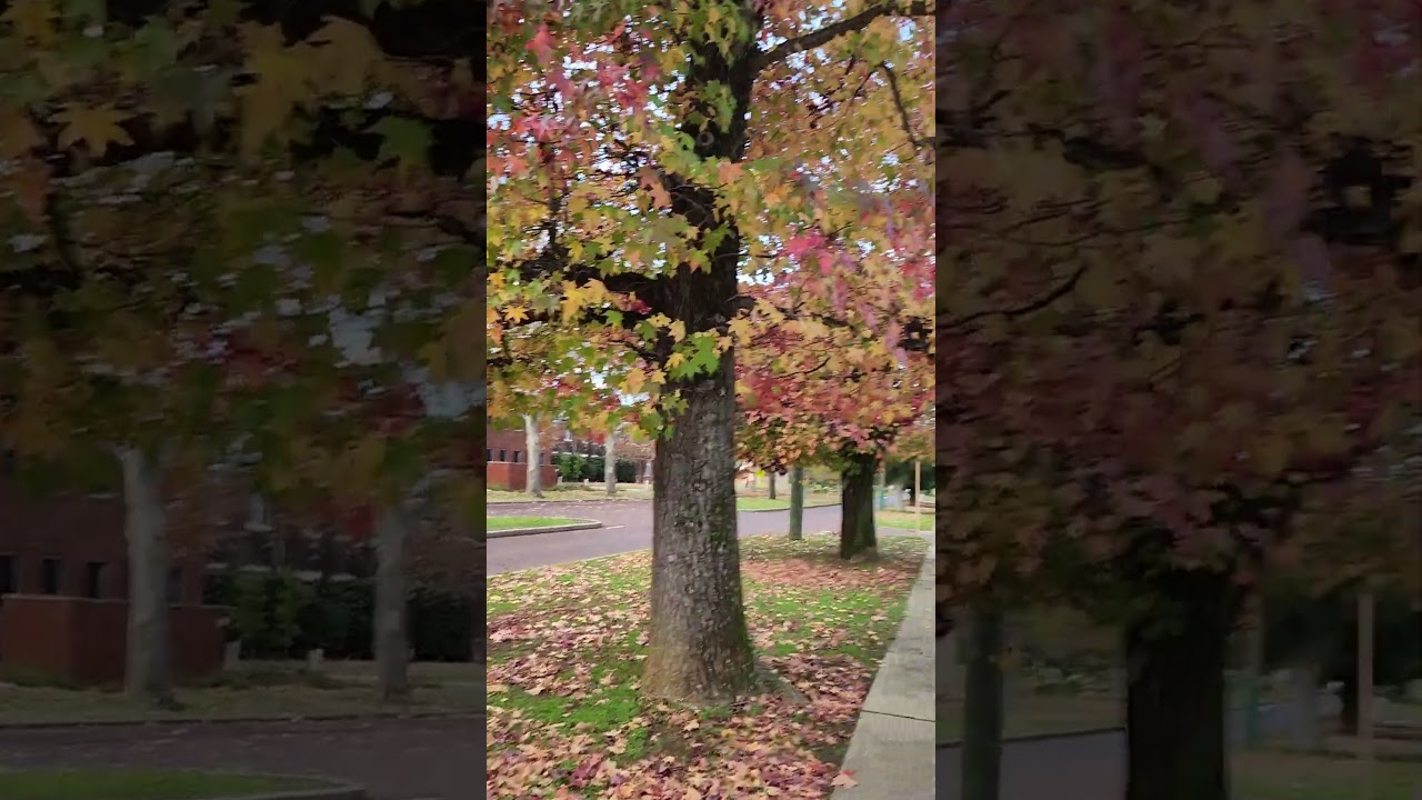 Enjoy your moment with amazing things