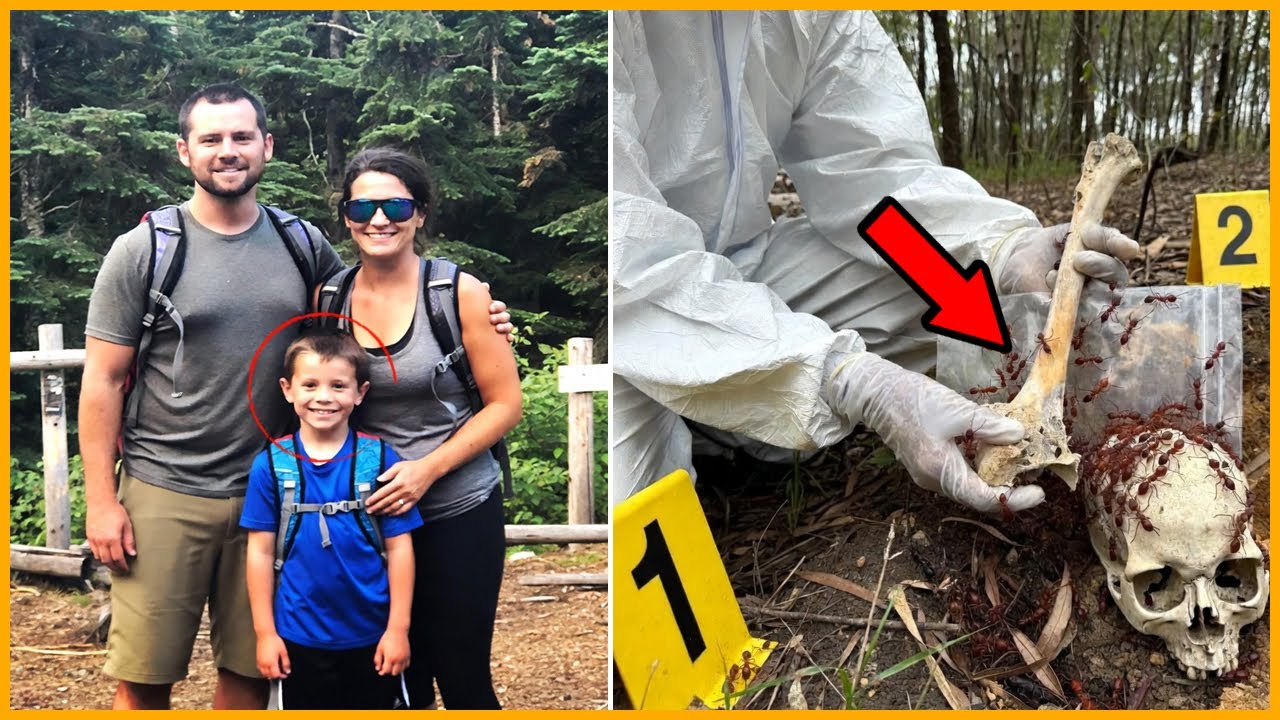 Семья пропала в Кемпинге на Аляске — спустя 3 года, их нашли в ОГРОМНОМ Муравейнике...