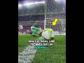How Goal-Line Technology Works