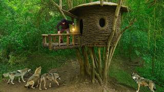 Download Lagu I Spent 7 Days Building a House Made of Vines on a Large Tree to Survive in the Rainforest MP3 Download Lagu I Spent 7 Days Building a House Made of Vines on a Large Tree to Survive in the Rainforest MP3