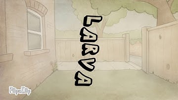 Larva intro