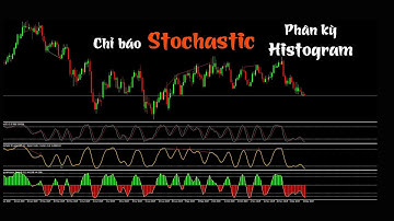 Cách sử dụng chỉ báo Stochastic hiệu quả chi tiết – Stochastic Histogram