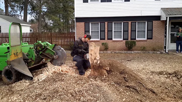 Stump cutting in virginia beach va