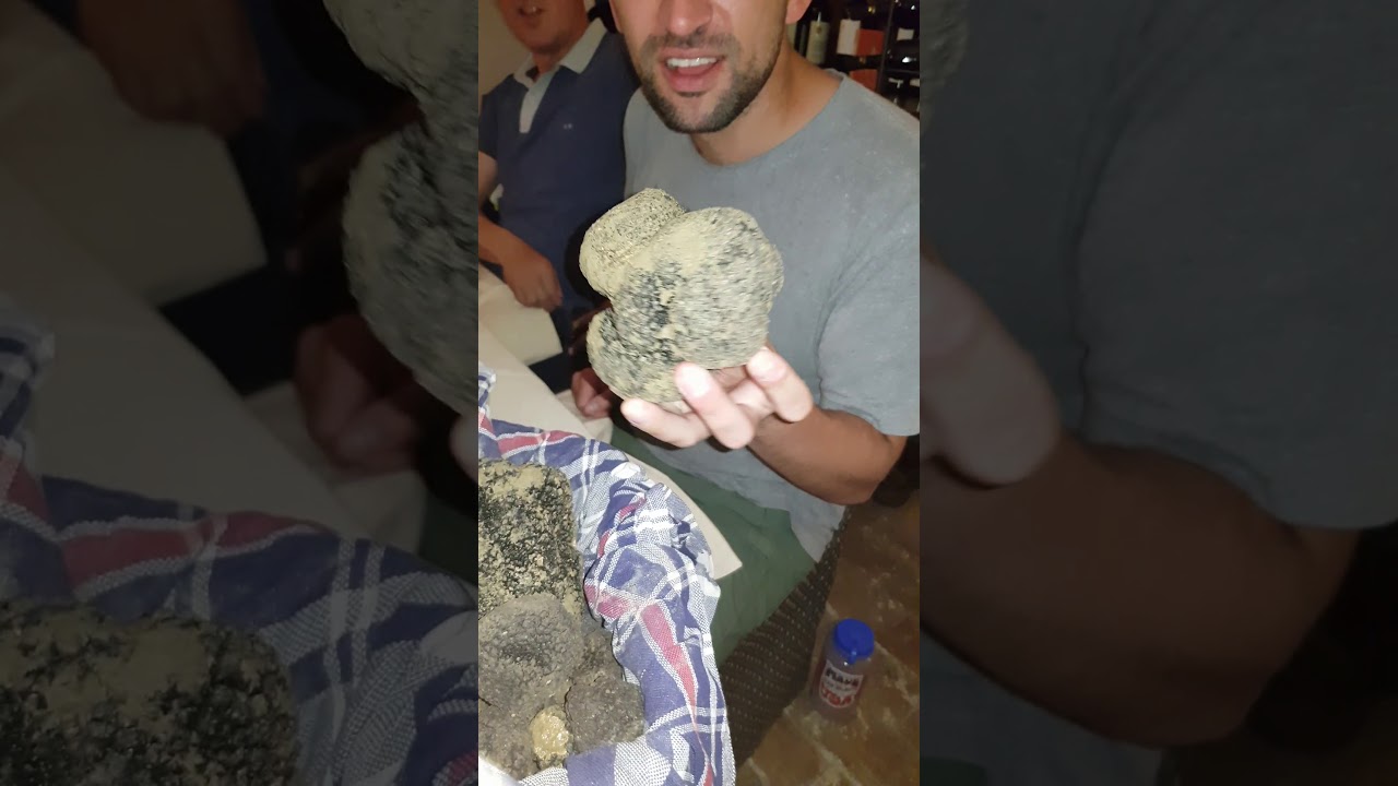 Biggest TRUFFLE in the World #shorts | Vincenzo