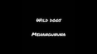 Wild dogs  mehangununa