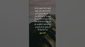 واتبعوا ما تتلو الشياطين على ملك سليمان وما كفر سليمان ولكن الشياطين كفروا | الدوسري | سورة البقرة