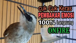 999 Terbukti Ampuh Trucuk Lain Langsung Nyambar Emosi Dengan Cuk Keras Pancingan Trucukan Ini