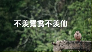 201605 不羡鸳鸯不羡仙40106