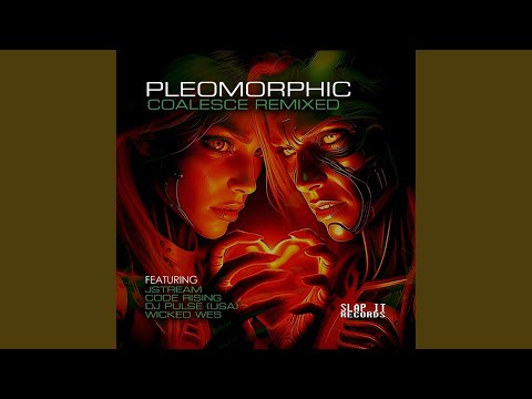 Pleomorphic - Coalesce
