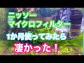 ニッソーマイクロフィルター1か月使ってみた感想。#アクアリウム