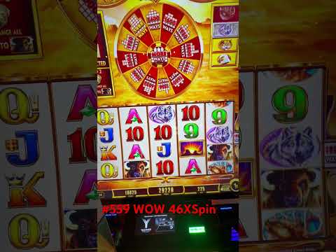 Free Games $25 Bet Dollar Storm!! #casino #slots #gambling #shorts