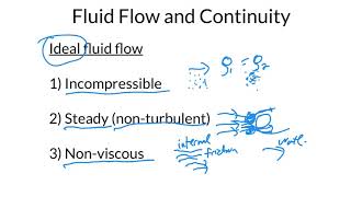 Fluid Flow and the Continuity Equation
