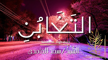 سورة التغابن / المصحف المرتل / الشيخ سعد الغامدي / Surah At-taghabun / Sheikh Saad Al-Ghamdi