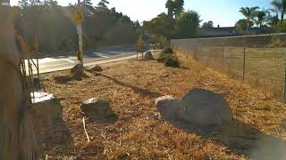 BURIAL DEVELOPMENT 1